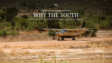 WHY+THE+SOUTH+%28Video%29.png