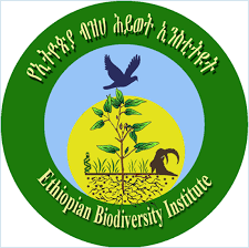 logo (3).png