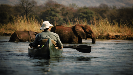 Man+Canoeing+at+Mana+Pools%2C+Zimbabwe.png