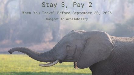 Stay+3+Pay+2+Image.jpeg