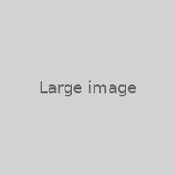 AES Logo -Grey (png).png