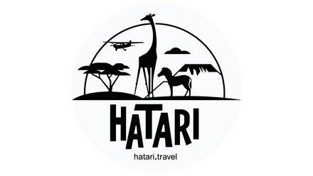 The African Embassy Ltd logo.png