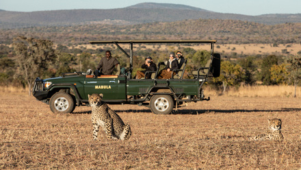 Mabula+Game+Lodge+-+Safari+Wildlife+4.jpg