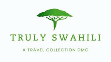 Web Logo_ Truly Swahili, A Travel Collection DMC.jpg