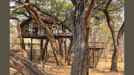 Imvelo+Safari+Lodges+-+Tum+Tum+Treehouse+Lodge+%281+of+1%29-2+-+less+than+5MB.jpg