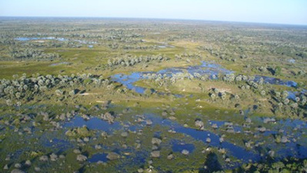 Day 6 Okavango Delta Optional Flight View.jpg