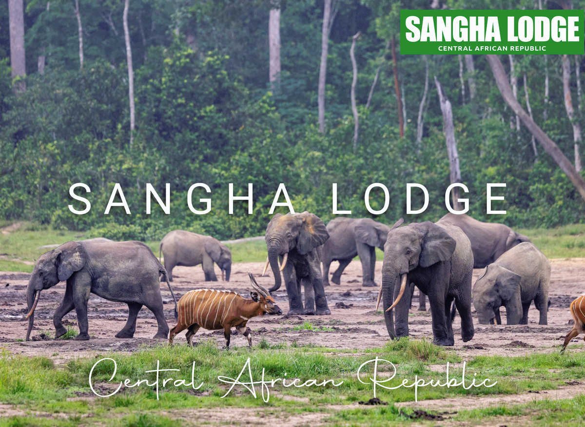Sangha Lodge