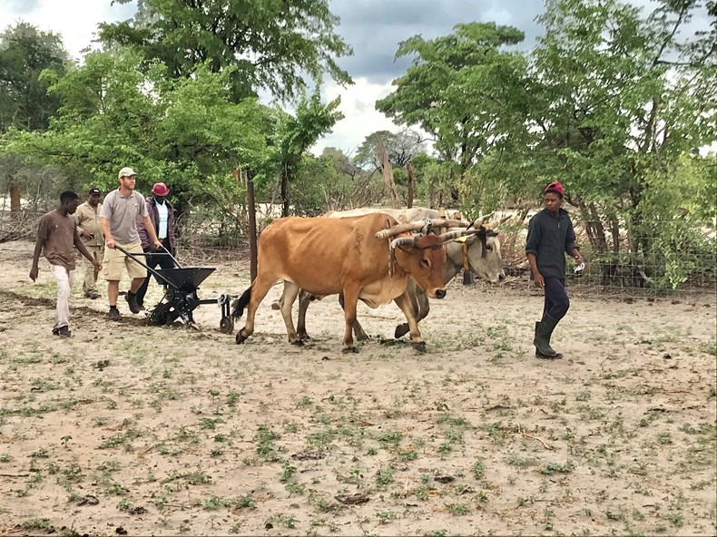 0215-wilderness-safaris-botswana_farming-project.jpg