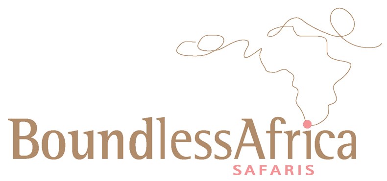 02A1-boundless-africa-logo.jpeg