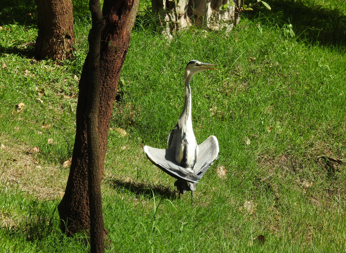 DSCN7245.JPG