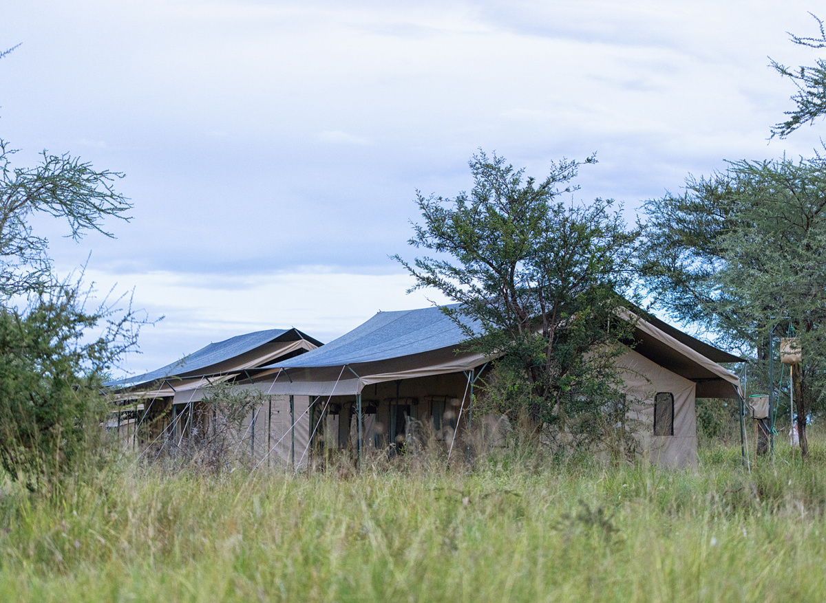 Serengeti Wilderness Camp safari tents 