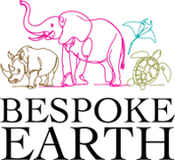 Full logo multi (1).png 2