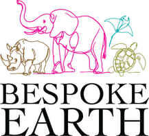 Full logo multi (1).png 2