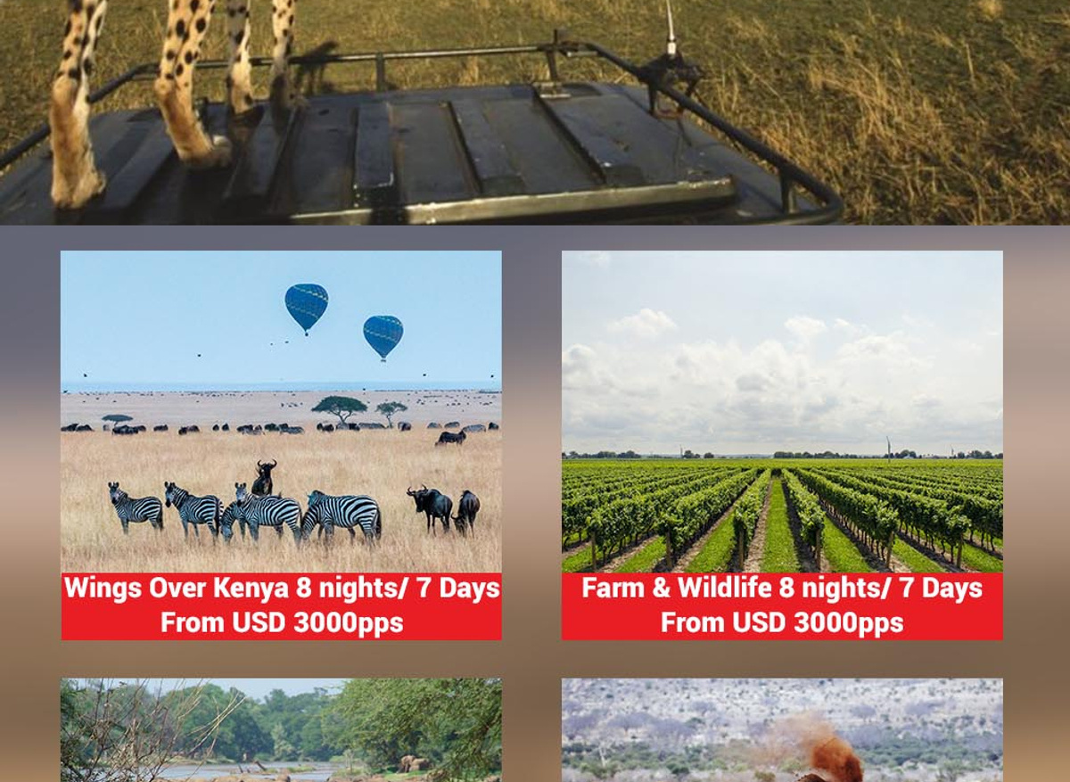 Nature Top sellers.jpg