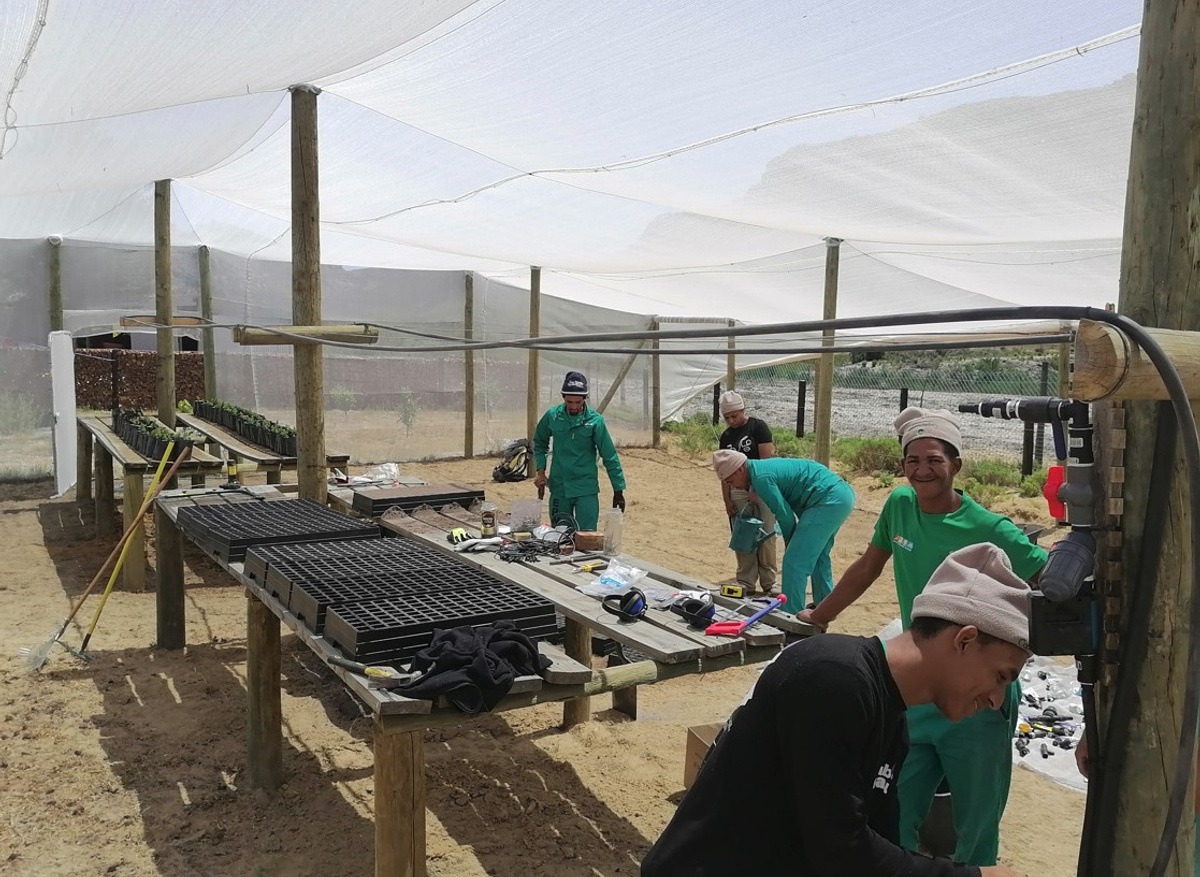 Local Community Cedar Nursery.jpg