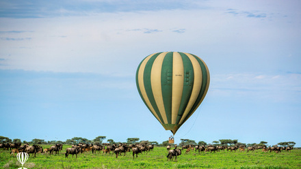 Balloon+and+Wildebeest+in+Ndutu2.JPG
