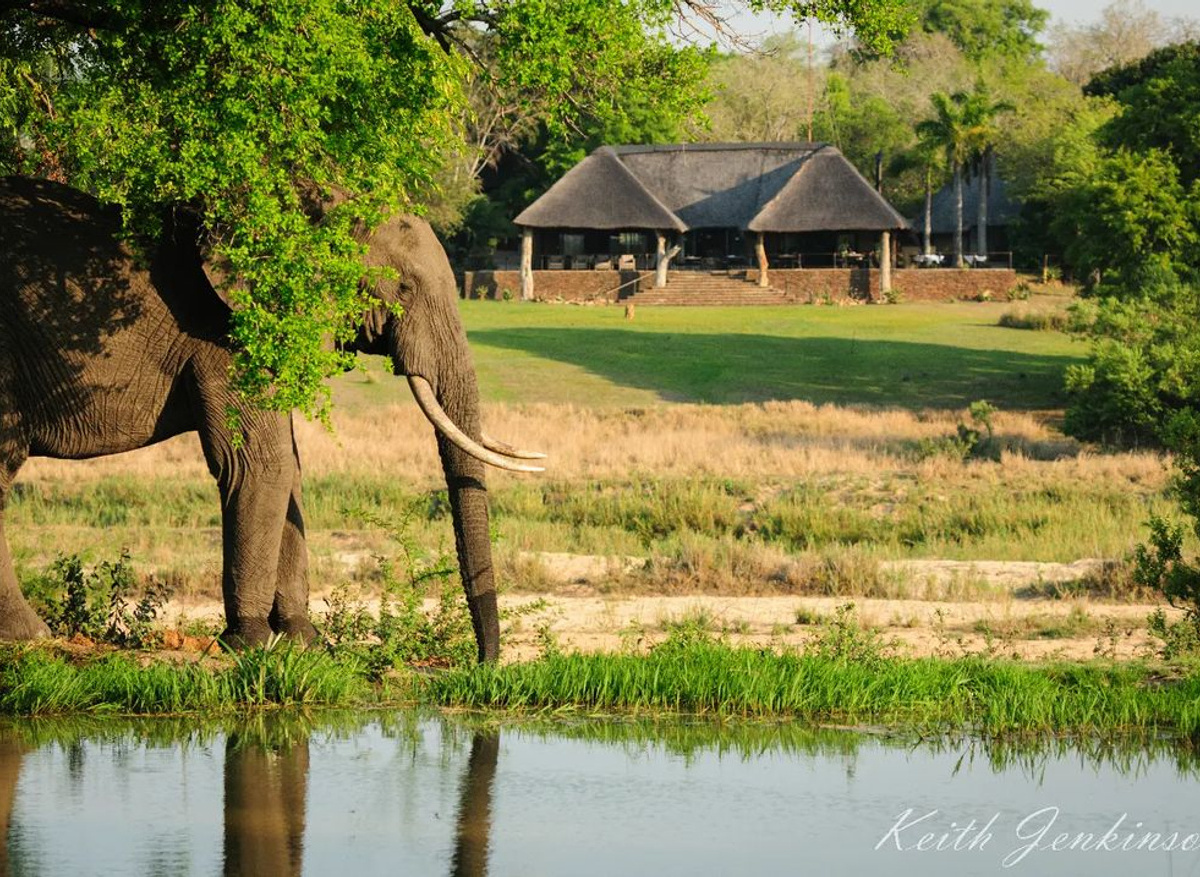 Lodge view Summer days