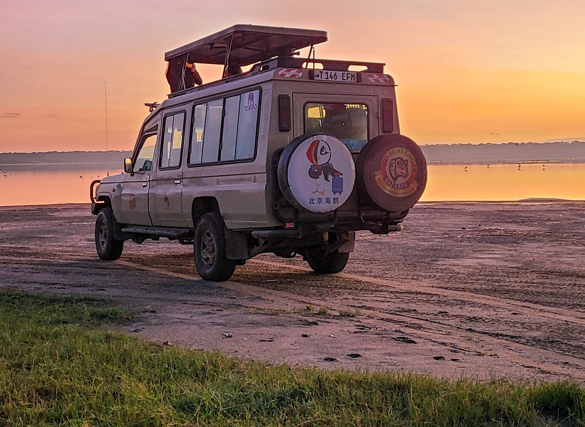 Sunrise Safari Magic