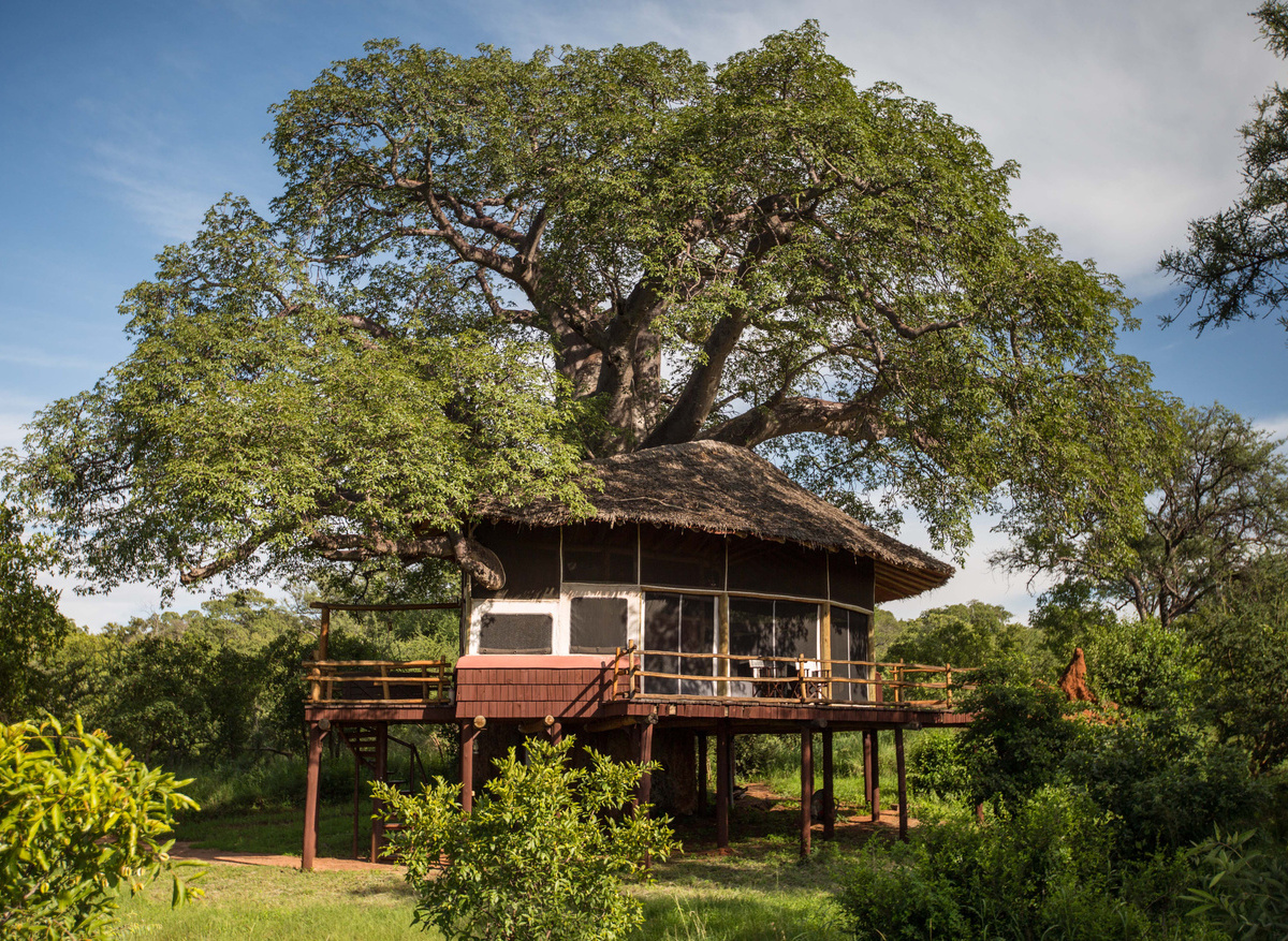 Elewana Tarangire Treetops 