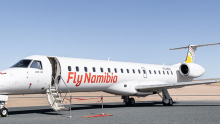 FlyNamibia.jpg