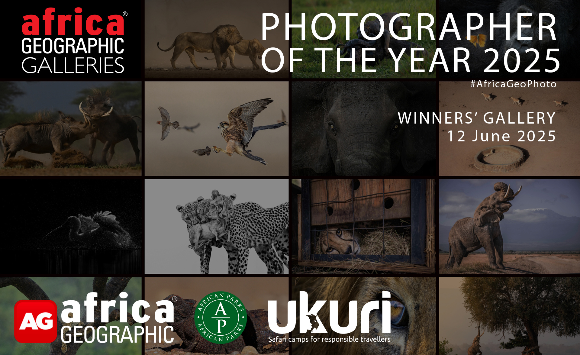 cover-photographer-of-the-year-2025-winner-2.jpg