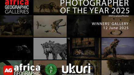 cover-photographer-of-the-year-2025-winner-2.jpg
