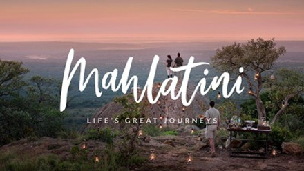 Phinda Mahlatini Branding.jpg