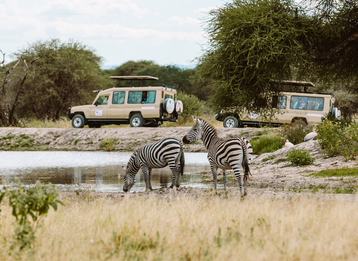 Game Drive Safari