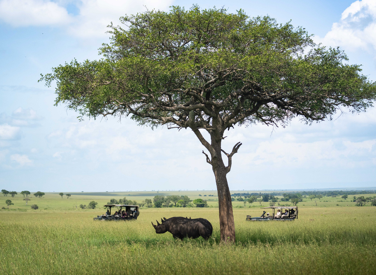 TAASA Lodge - Safari
