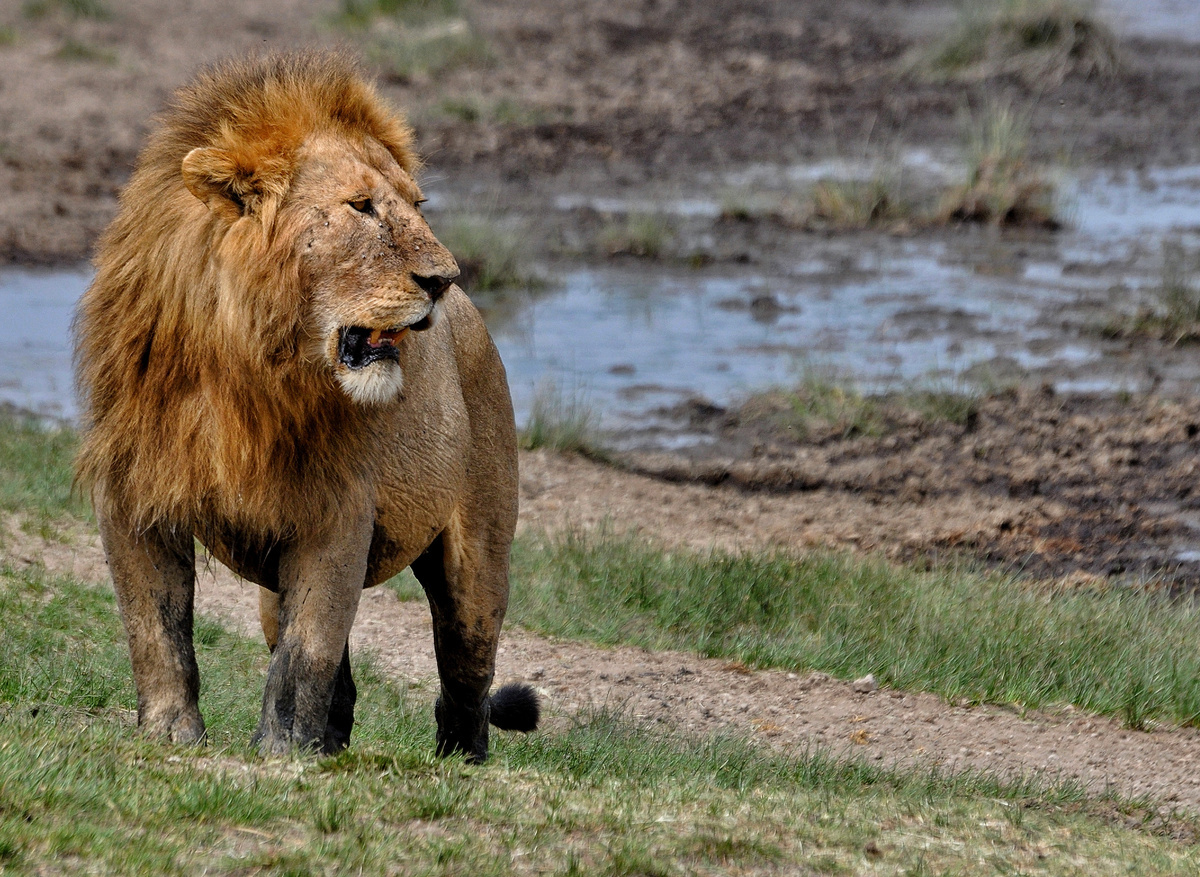 Tanz TH IMG_0646.JPG