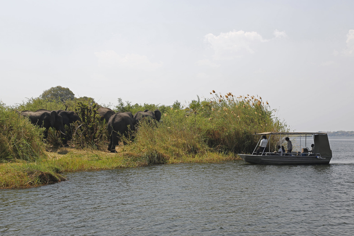 Zambezi.jpg 1