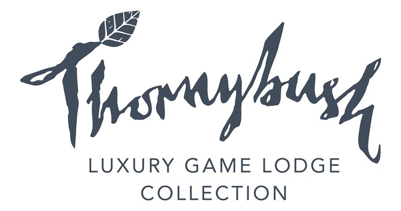 0846-thornybush_luxurygamelodgecollection.jpg