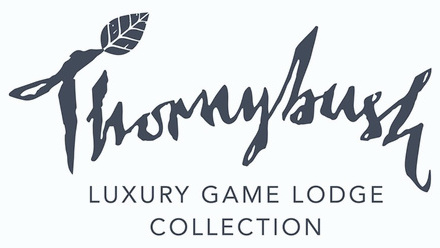 0846-thornybush_luxurygamelodgecollection.jpg