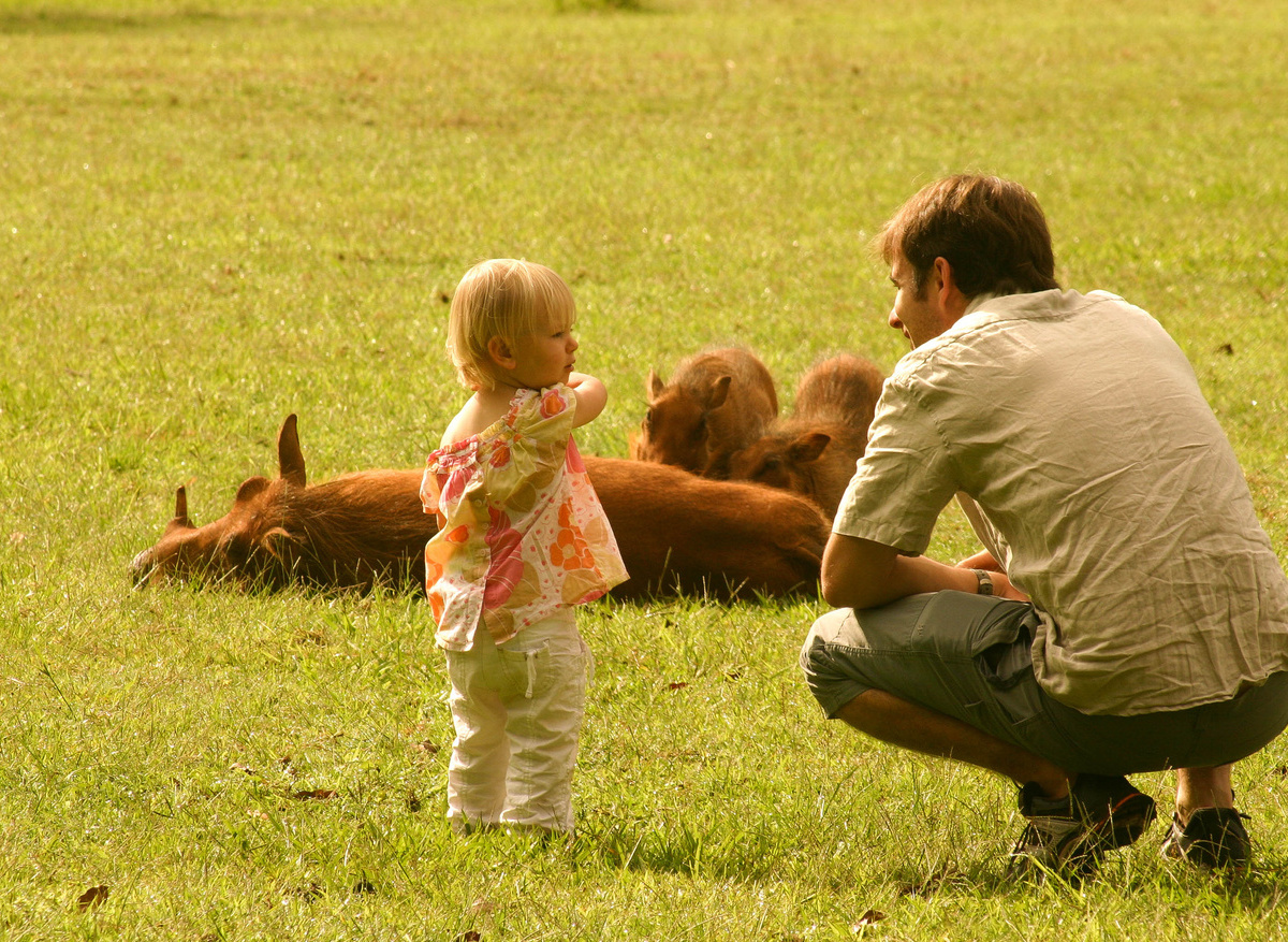 Family SWZ Safari 2 (BGP).jpg