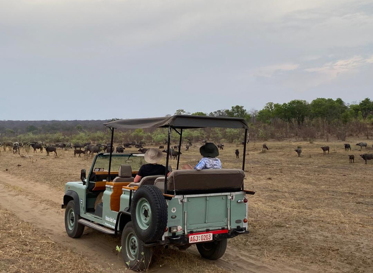 Game Drive Vehicle 1: Cecil with roof up