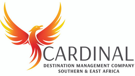 Cardinal DMC logo.jpg