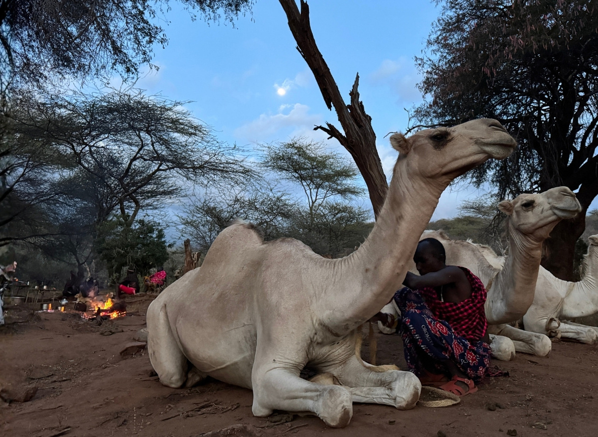 NOMADIC ADVENTURES