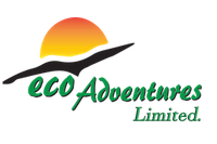 logo.png 2