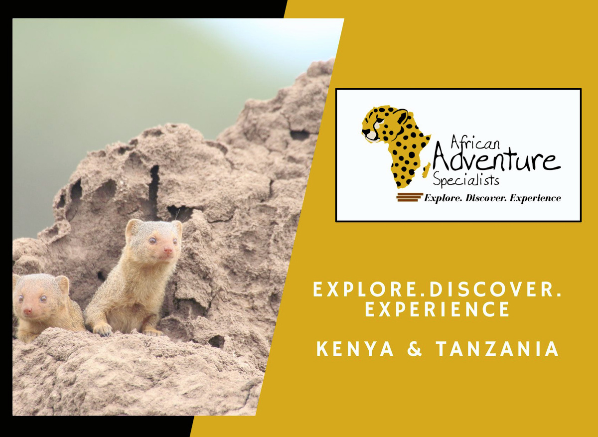 AAS Photo and Logo.jpg