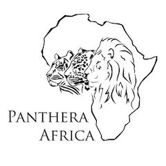 Panthera Africa Big Cat Sanctuary.jpg