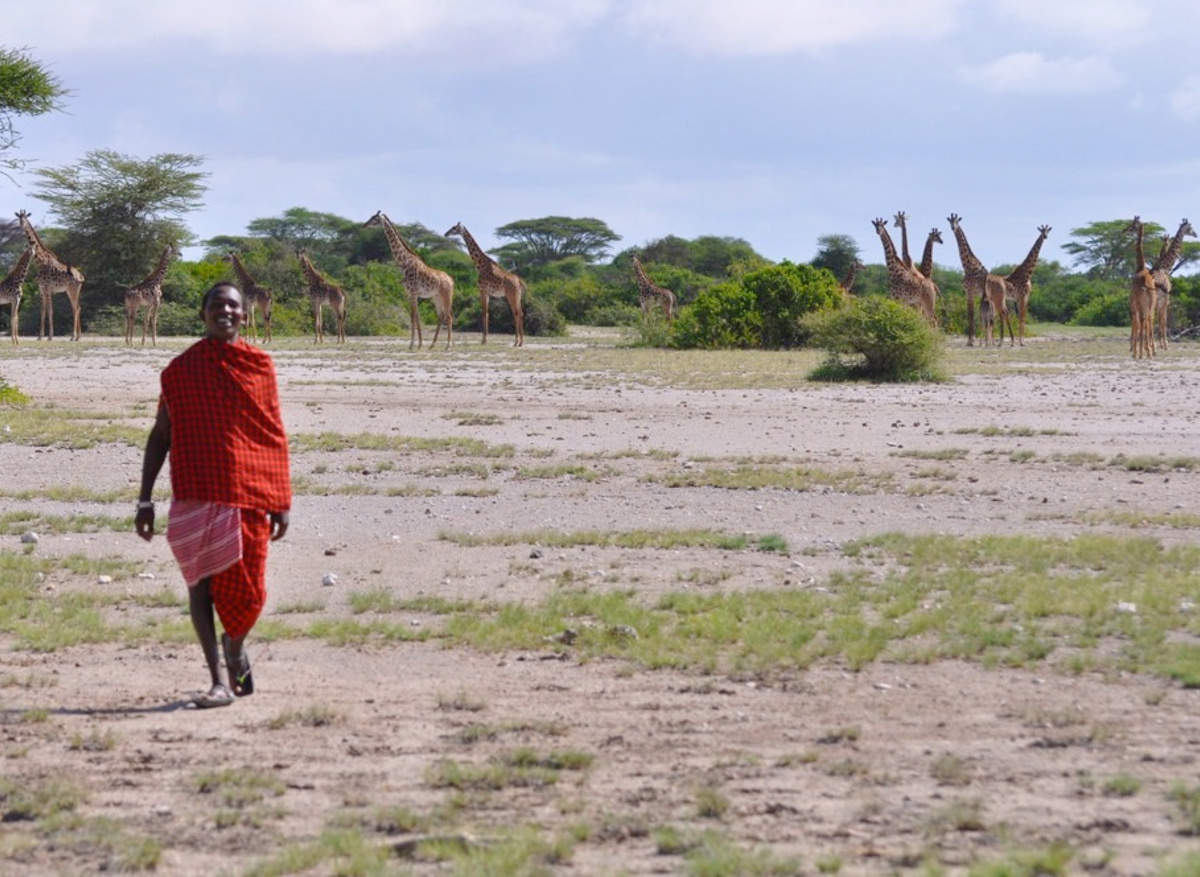 masai and giraffe 500.jpeg