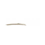 SHEARZONE LOGO.png