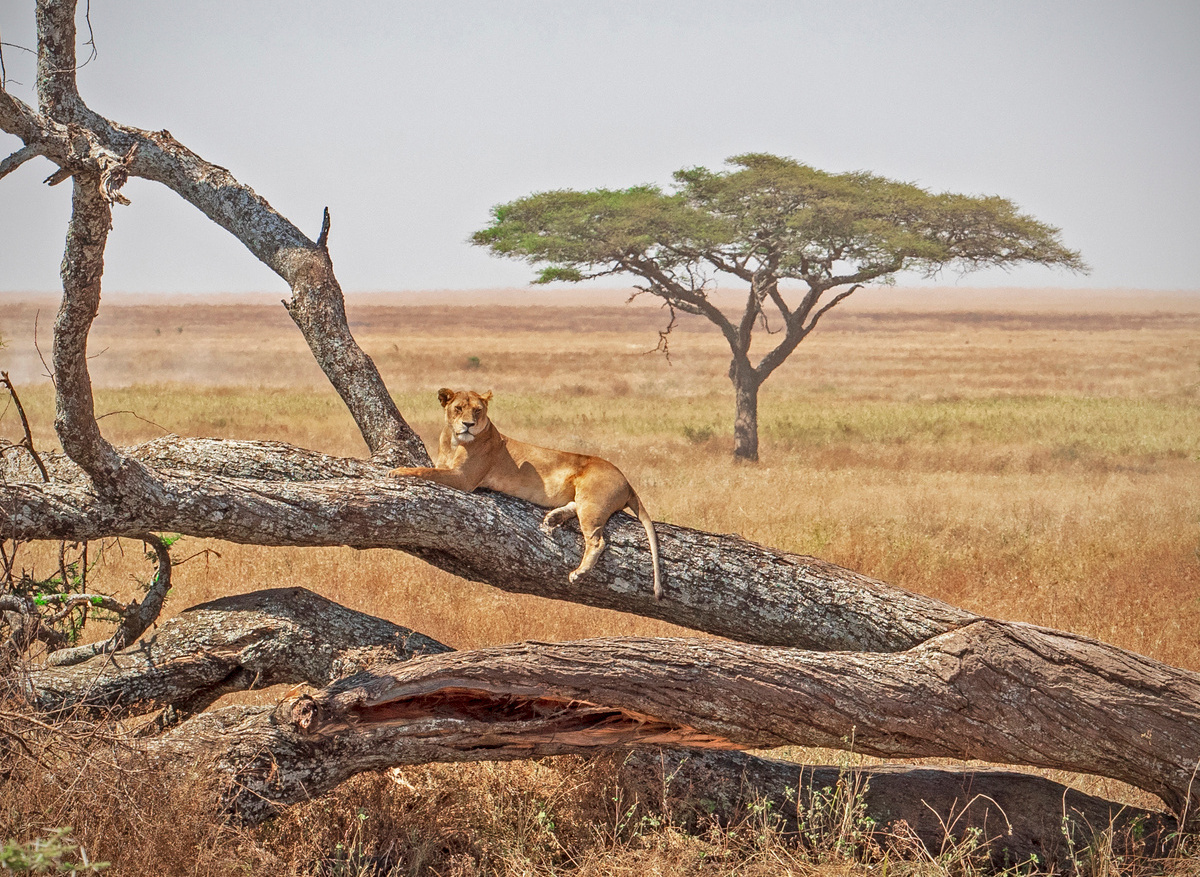 130 - Memorias de Africa Aventura - Francisco Jover Montañana.jpg