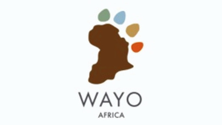 Web Logo_ Wayo Africa.jpg