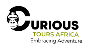 Curious Logo.png
