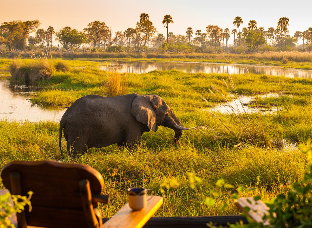 Delta Camp, Okavango Delta