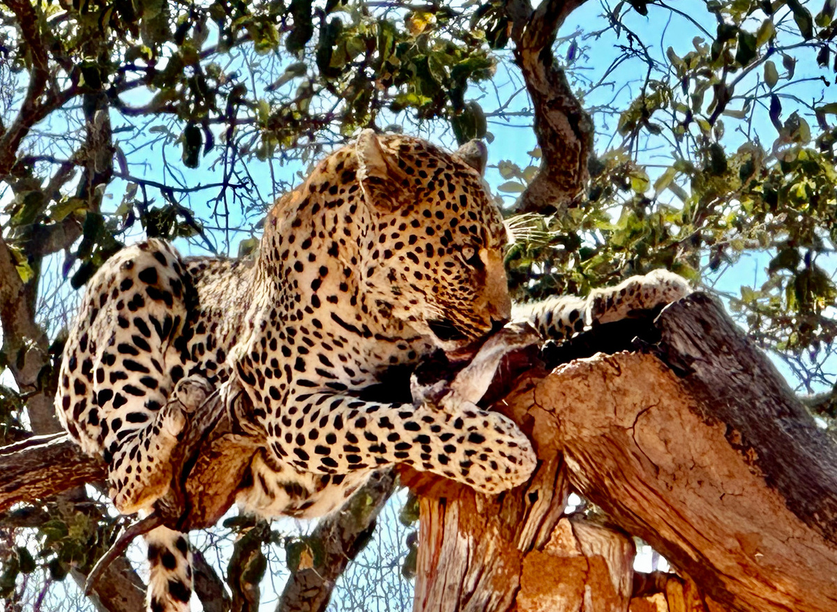 8C23A74C-5C89-444C-96FE1927CEB54DB8_4