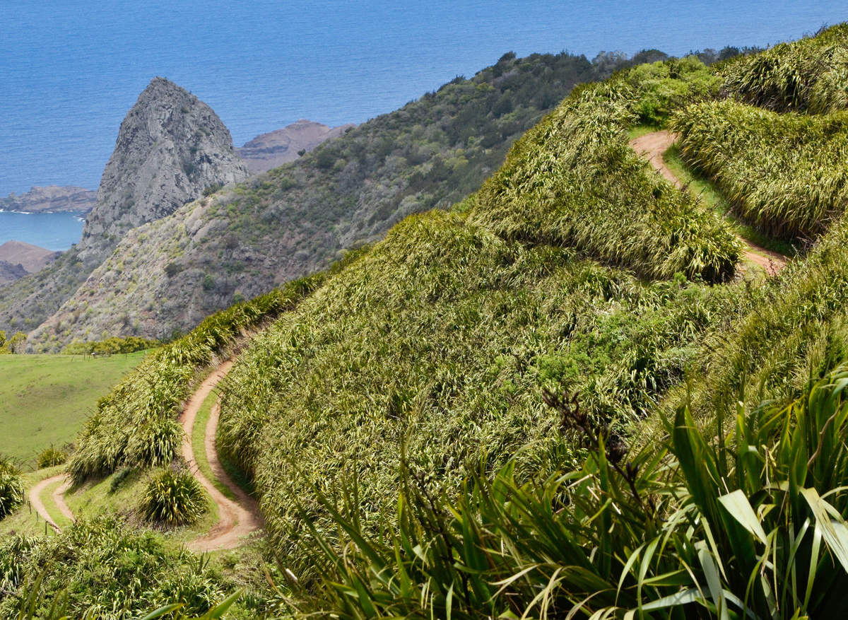 St Helena's constantly changing landscape. Photo by Will Appleyard.jpg