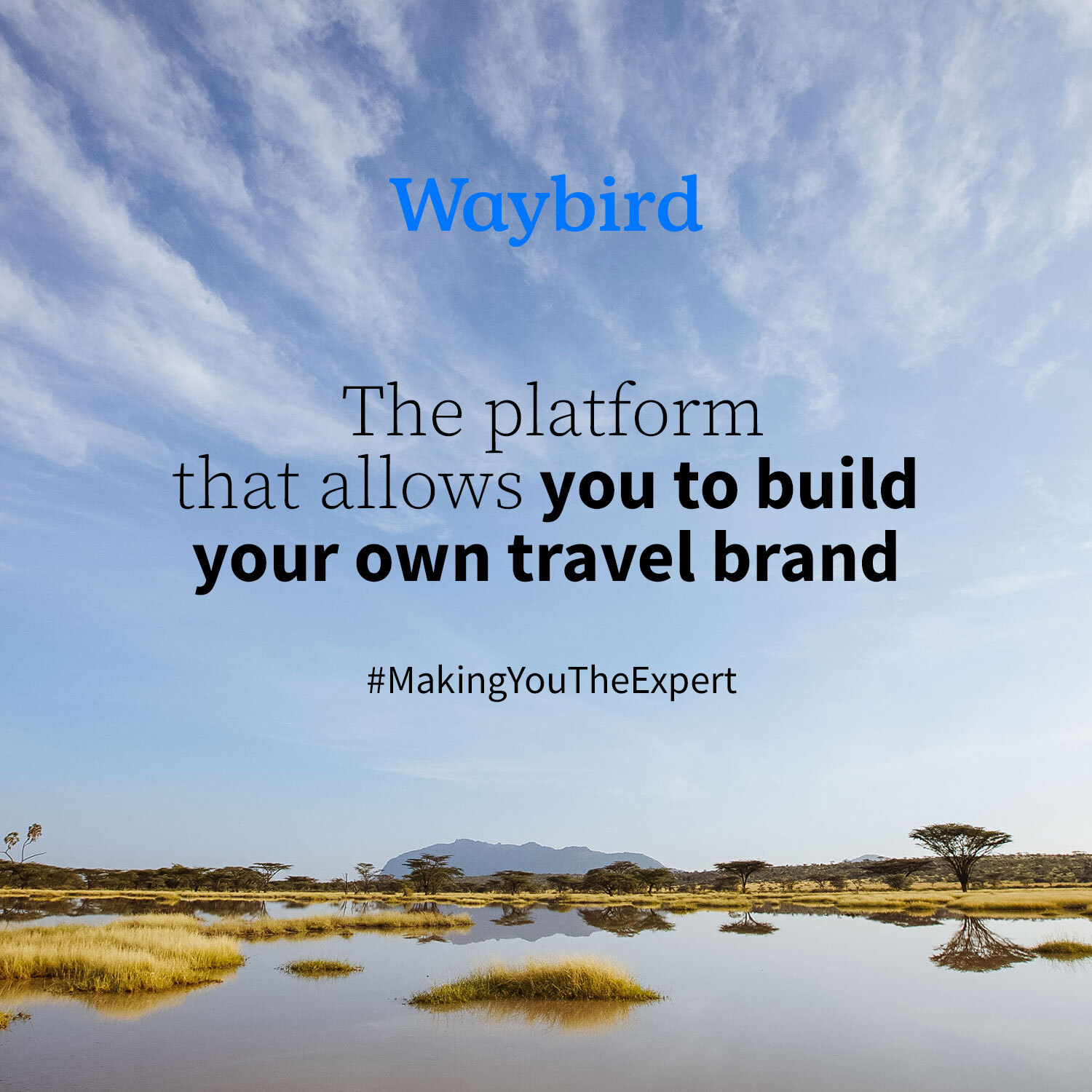 Build-your-brand.jpg