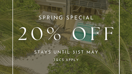 SPRING+SPECIAL+%281%29+%281%29.png